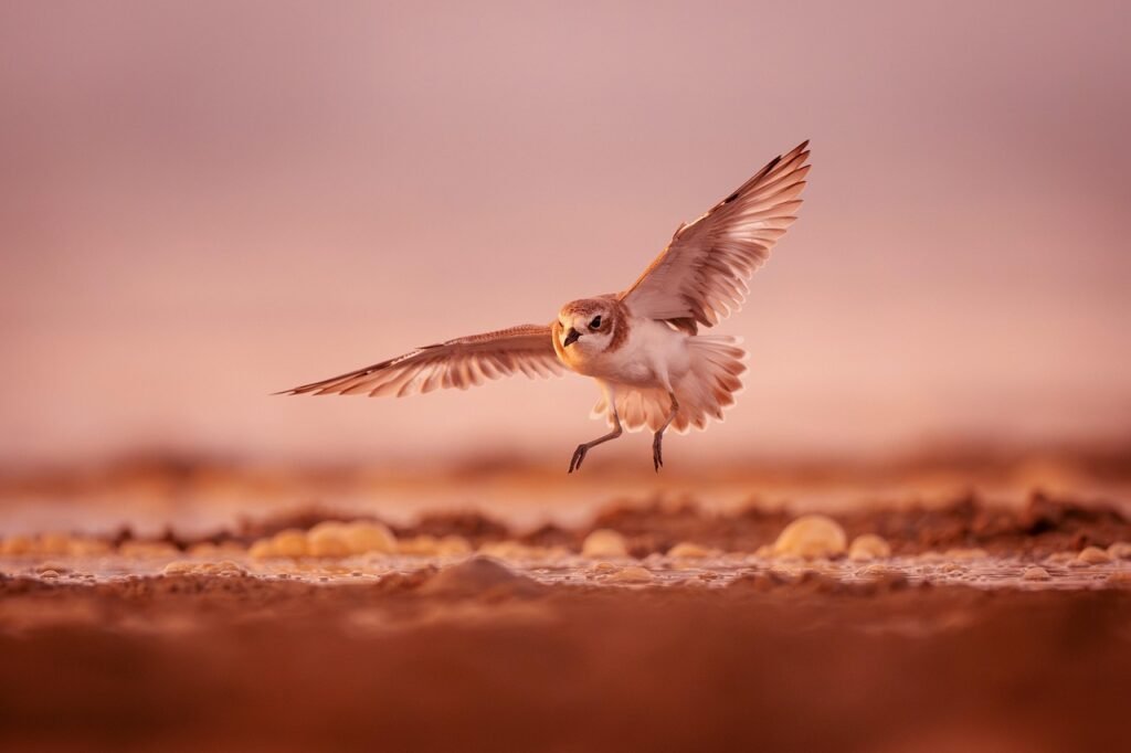 Small Business Managed IT Services in Gainesville, GA